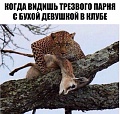 Нажмите на изображение для увеличения
Название: 7.jpg
Просмотров: 451
Размер:	98.7 Кб
ID:	1852686
