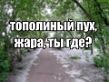 Нажмите на изображение для увеличения
Название: 13.jpg
Просмотров: 431
Размер:	37.3 Кб
ID:	1852696
