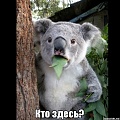 Нажмите на изображение для увеличения
Название: хто.jpg
Просмотров: 41
Размер:	47.7 Кб
ID:	1854418