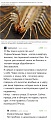 Нажмите на изображение для увеличения
Название: 3.jpg
Просмотров: 382
Размер:	234.8 Кб
ID:	1855506