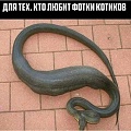 Нажмите на изображение для увеличения
Название: IMG_5832.JPG
Просмотров: 394
Размер:	60.9 Кб
ID:	1856990