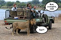 Нажмите на изображение для увеличения
Название: IMG_5846.JPG
Просмотров: 395
Размер:	103.1 Кб
ID:	1859495