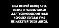 Нажмите на изображение для увеличения
Название: IMG_5851.JPG
Просмотров: 360
Размер:	22.8 Кб
ID:	1859500