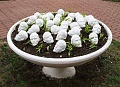 Нажмите на изображение для увеличения
Название: IMG_5853.JPG
Просмотров: 396
Размер:	97.4 Кб
ID:	1860618