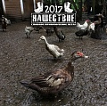 Нажмите на изображение для увеличения
Название: IMG_5865.JPG
Просмотров: 438
Размер:	166.1 Кб
ID:	1861639