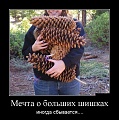 Нажмите на изображение для увеличения
Название: original (2).jpg
Просмотров: 447
Размер:	94.5 Кб
ID:	1862020