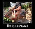 Нажмите на изображение для увеличения
Название: original (5).jpg
Просмотров: 450
Размер:	42.2 Кб
ID:	1862022