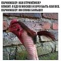 Нажмите на изображение для увеличения
Название: IMG_5892.JPG
Просмотров: 364
Размер:	81.4 Кб
ID:	1865061