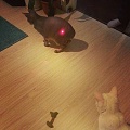 Нажмите на изображение для увеличения
Название: IMG_5911.JPG
Просмотров: 368
Размер:	50.3 Кб
ID:	1868233