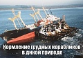 Нажмите на изображение для увеличения
Название: IMG_5907.JPG
Просмотров: 370
Размер:	90.4 Кб
ID:	1868236