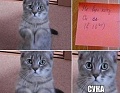 Нажмите на изображение для увеличения
Название: IMG_5920.JPG
Просмотров: 347
Размер:	55.4 Кб
ID:	1869403