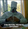 Нажмите на изображение для увеличения
Название: IMG_5942.JPG
Просмотров: 344
Размер:	226.9 Кб
ID:	1869422