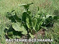 Нажмите на изображение для увеличения
Название: 9950302.jpg
Просмотров: 366
Размер:	177.5 Кб
ID:	1871222