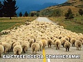 Нажмите на изображение для увеличения
Название: IMG_5950.JPG
Просмотров: 388
Размер:	115.3 Кб
ID:	1871308