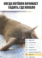 Нажмите на изображение для увеличения
Название: IMG_5977.JPG
Просмотров: 403
Размер:	48.9 Кб
ID:	1872548