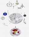 Нажмите на изображение для увеличения
Название: 5-3eclat_001.jpg
Просмотров: 683
Размер:	44.6 Кб
ID:	187756