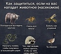 Нажмите на изображение для увеличения
Название: IMG_6072.JPG
Просмотров: 412
Размер:	79.4 Кб
ID:	1884470