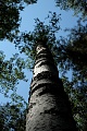 Нажмите на изображение для увеличения
Название: DSCF0785.jpg
Просмотров: 146
Размер:	383.6 Кб
ID:	1887868