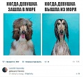 Нажмите на изображение для увеличения
Название: IMG_6129.JPG
Просмотров: 404
Размер:	66.9 Кб
ID:	1889849