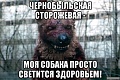 Нажмите на изображение для увеличения
Название: IMG_6155.JPG
Просмотров: 458
Размер:	87.3 Кб
ID:	1891880