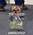 Нажмите на изображение для увеличения
Название: IMG_6157.JPG
Просмотров: 471
Размер:	87.7 Кб
ID:	1891881