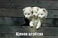 Нажмите на изображение для увеличения
Название: IMG_6193.JPG
Просмотров: 399
Размер:	90.8 Кб
ID:	1899571