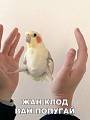 Нажмите на изображение для увеличения
Название: IMG_6214.JPG
Просмотров: 390
Размер:	80.8 Кб
ID:	1902907