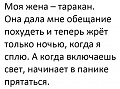 Нажмите на изображение для увеличения
Название: 10191853.jpg
Просмотров: 387
Размер:	49.0 Кб
ID:	1905673