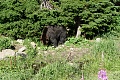 Нажмите на изображение для увеличения
Название: P1080981.jpg
Просмотров: 432
Размер:	869.0 Кб
ID:	1907261