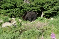 Нажмите на изображение для увеличения
Название: P1080983.jpg
Просмотров: 427
Размер:	868.6 Кб
ID:	1907263