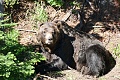 Нажмите на изображение для увеличения
Название: P1090003.jpg
Просмотров: 424
Размер:	761.7 Кб
ID:	1907266