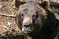 Нажмите на изображение для увеличения
Название: P1090012.jpg
Просмотров: 431
Размер:	572.1 Кб
ID:	1907267