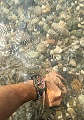 Нажмите на изображение для увеличения
Название: IMG_2149.jpg
Просмотров: 238
Размер:	522.0 Кб
ID:	1907557