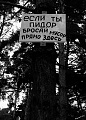 Нажмите на изображение для увеличения
Название: IMG_6363.JPG
Просмотров: 423
Размер:	200.4 Кб
ID:	1924006