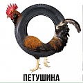 Нажмите на изображение для увеличения
Название: 6EF0E320-CF86-4736-A2B3-5FF755F0A569.jpeg
Просмотров: 546
Размер:	77.0 Кб
ID:	1936056
