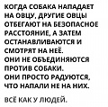 Нажмите на изображение для увеличения
Название: 631619C6-BED2-4CDF-8AD8-09006589AFBF.jpeg
Просмотров: 552
Размер:	97.9 Кб
ID:	1937649