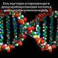 Нажмите на изображение для увеличения
Название: 6418C72D-E82E-4B02-AC81-E41462014582.jpeg
Просмотров: 335
Размер:	53.3 Кб
ID:	1940763