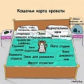 Нажмите на изображение для увеличения
Название: 308225F4-1745-4025-8A51-547B3CD4FF83.jpeg
Просмотров: 345
Размер:	103.1 Кб
ID:	1940764