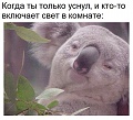 Нажмите на изображение для увеличения
Название: BB2250EF-9311-4058-830F-532A21A2EF3D.jpeg
Просмотров: 375
Размер:	83.8 Кб
ID:	1942099