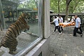 Нажмите на изображение для увеличения
Название: 42815662-0408-4F0C-A692-02A5AAAFCC18.jpeg
Просмотров: 425
Размер:	80.0 Кб
ID:	1943518