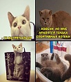 Нажмите на изображение для увеличения
Название: 5.jpg
Просмотров: 617
Размер:	122.4 Кб
ID:	1955977