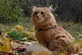 Нажмите на изображение для увеличения
Название: DSCF1125.01.jpg
Просмотров: 315
Размер:	351.8 Кб
ID:	1963725