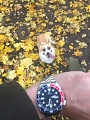 Нажмите на изображение для увеличения
Название: IMG_4262.jpg
Просмотров: 257
Размер:	453.9 Кб
ID:	1964066