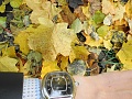 Нажмите на изображение для увеличения
Название: DSCN6664 (1)0005.JPG
Просмотров: 534
Размер:	1.35 Мб
ID:	1966666
