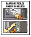 Нажмите на изображение для увеличения
Название: DE14887E-40A9-4AF6-BE05-61DA0B35EE12.jpeg
Просмотров: 495
Размер:	66.7 Кб
ID:	1979298