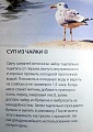 Нажмите на изображение для увеличения
Название: 76FA9CCA-603F-469A-A692-AFE07276B3CB.jpeg
Просмотров: 436
Размер:	100.0 Кб
ID:	1981127