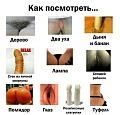Нажмите на изображение для увеличения
Название: 6943EB6C-BA24-4565-BD4A-0B8C4FE76C22.jpeg
Просмотров: 478
Размер:	54.7 Кб
ID:	1981133