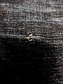 Нажмите на изображение для увеличения
Название: image-uni-178460-840365499.jpeg
Просмотров: 174
Размер:	251.3 Кб
ID:	1993234