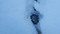 Нажмите на изображение для увеличения
Название: IMG-20171202-WA0005.jpg
Просмотров: 208
Размер:	40.7 Кб
ID:	2019447