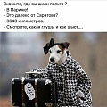 Нажмите на изображение для увеличения
Название: 10686504.jpg
Просмотров: 395
Размер:	99.1 Кб
ID:	2023034